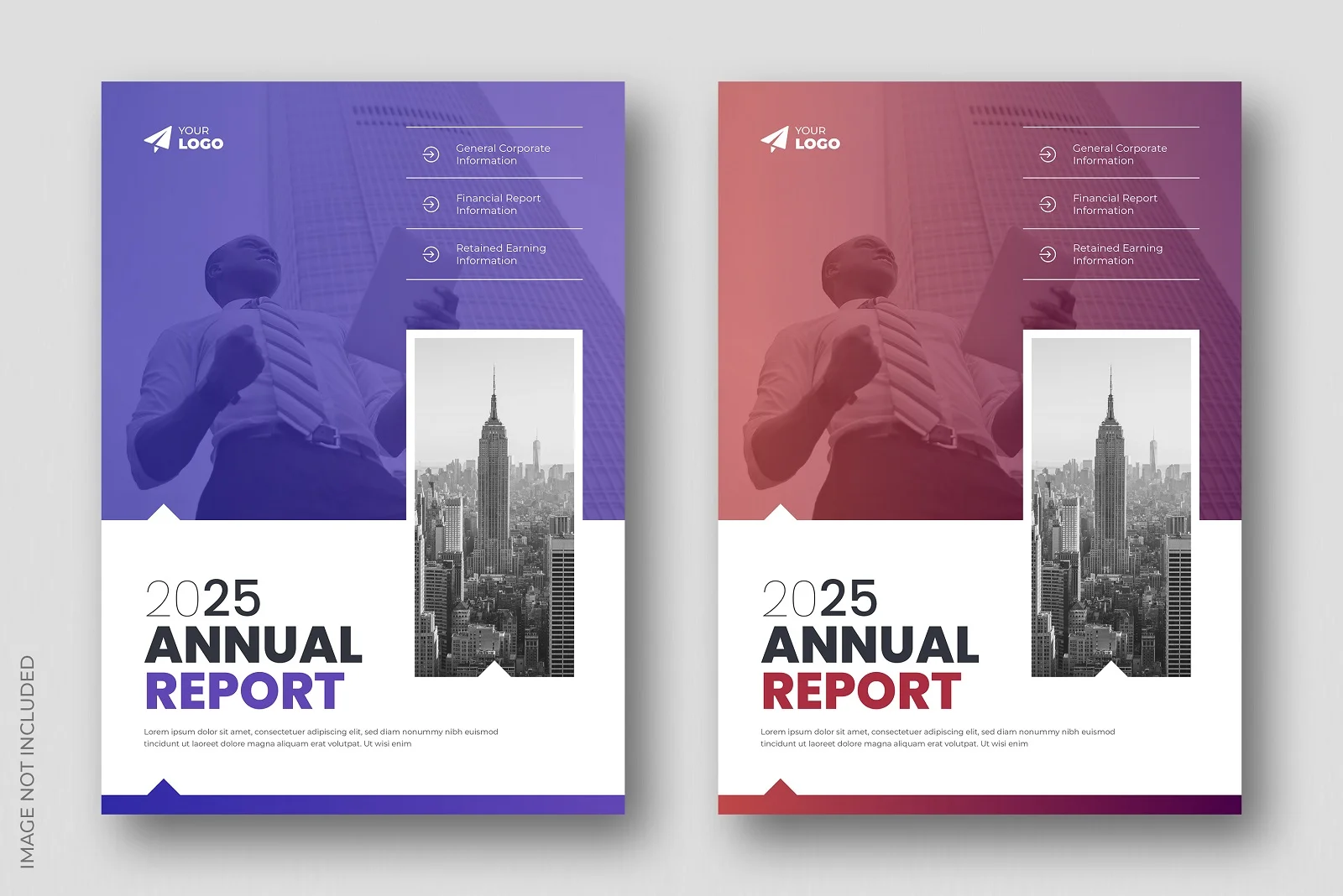 Annual report brochure design